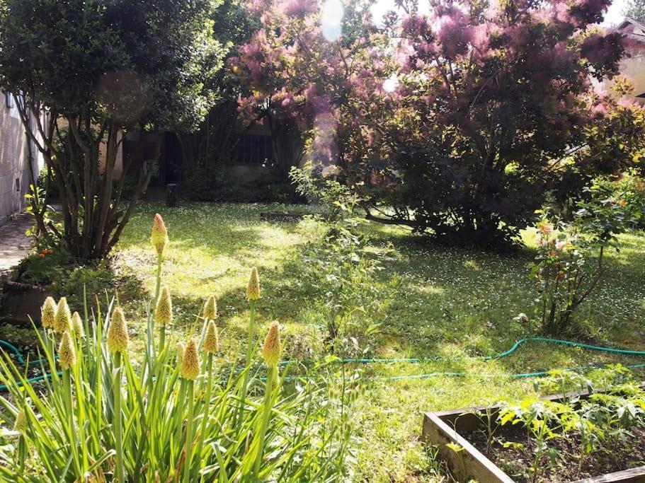 Le 7 Des Tonneliers Bed & Breakfast Castelfranc Luaran gambar